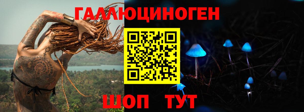 Галлюциногенные грибы мицелий Сосновый Бор